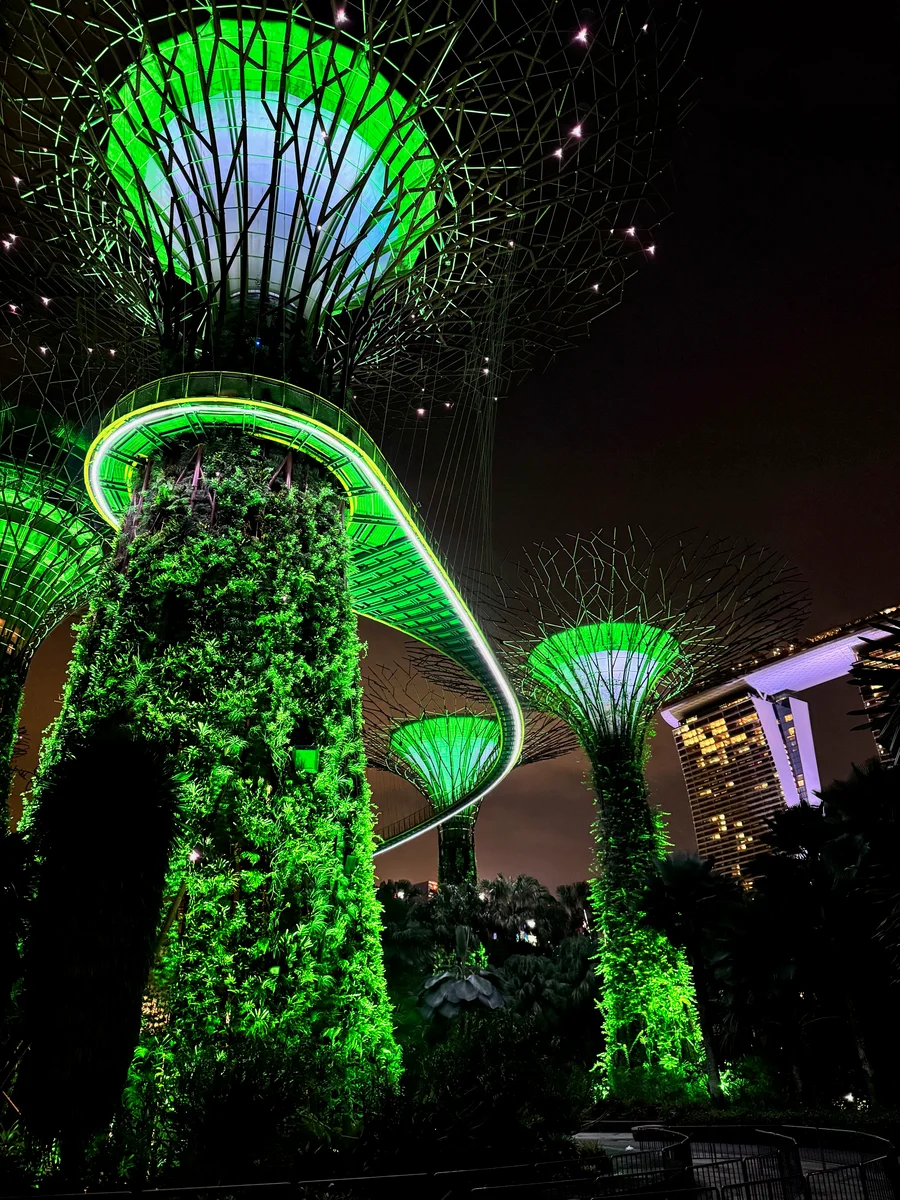 Singapore 11a_Singapore_BestOf - 11 of 25.jpeg